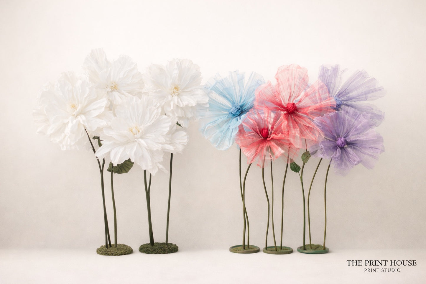 Giant Flowers - Rental