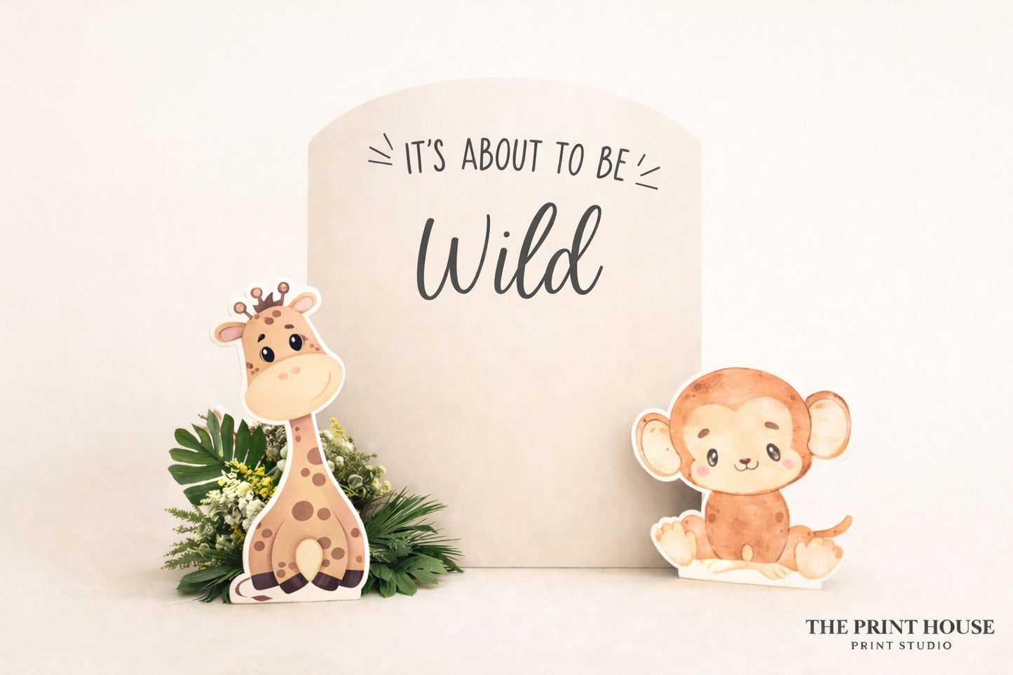 CHARACTER CUT OUTS